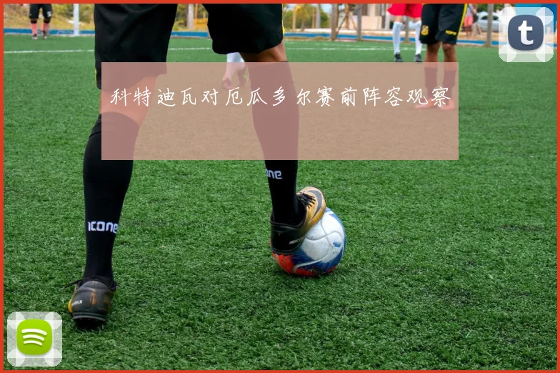 科特迪瓦对厄瓜多尔赛前阵容观察