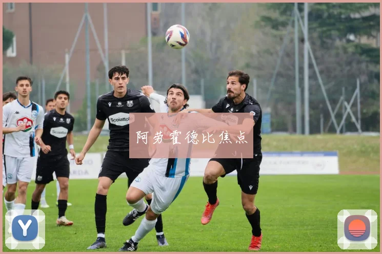 阿劳霍德比焦点