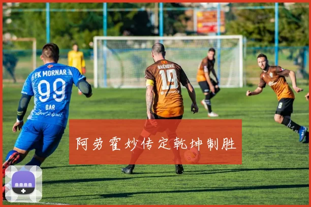 阿劳霍妙传定乾坤制胜