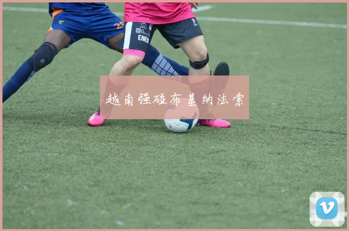 越南强碰布基纳法索