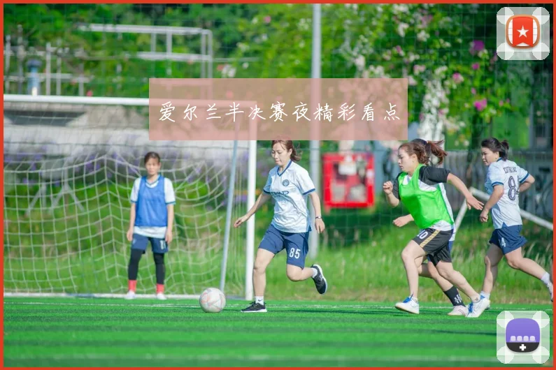 爱尔兰半决赛夜精彩看点