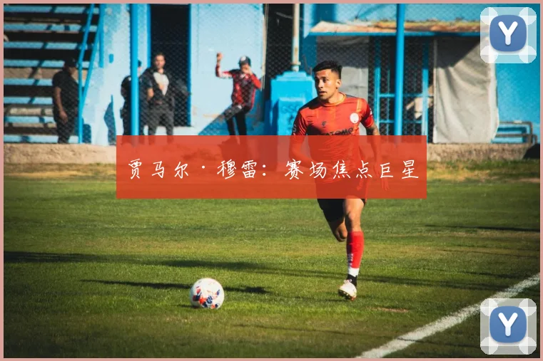 贾马尔·穆雷：赛场焦点巨星