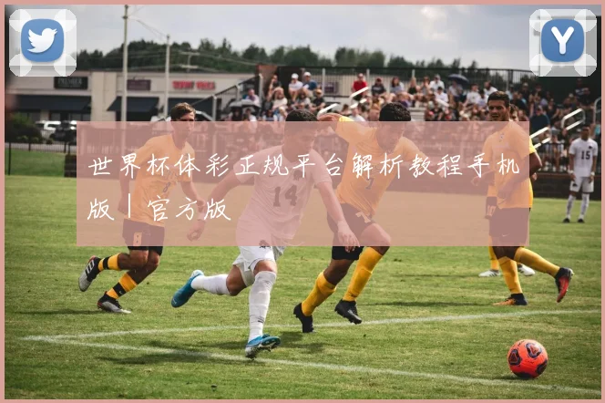 世界杯体彩正规平台解析教程手机版｜官方版