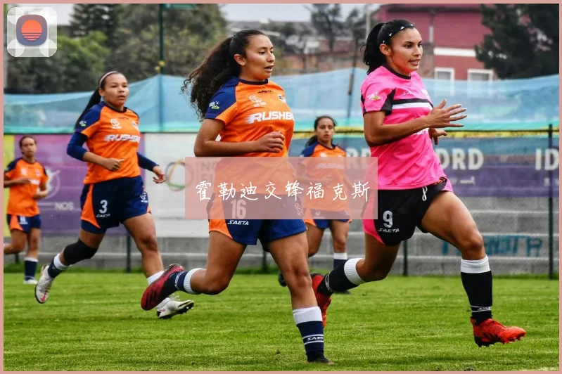 霍勒迪交锋福克斯