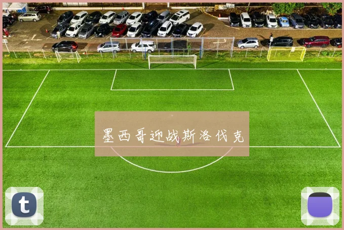 墨西哥迎战斯洛伐克