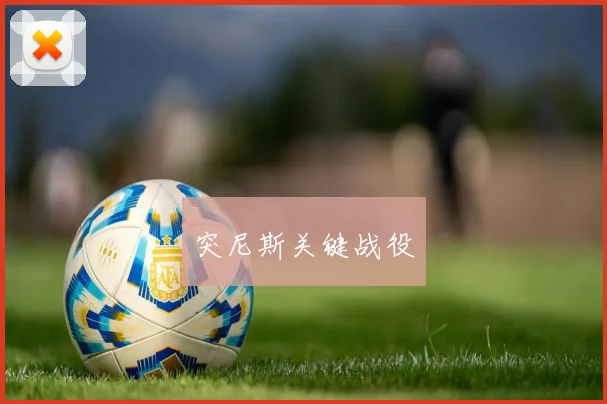 突尼斯关键战役