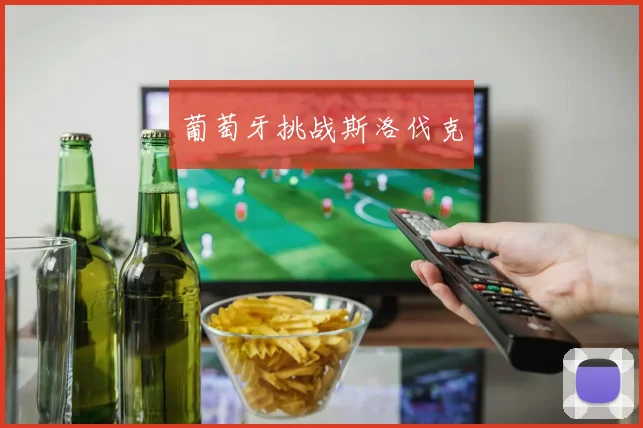 葡萄牙挑战斯洛伐克