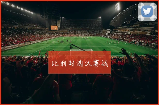 比利时淘汰赛战