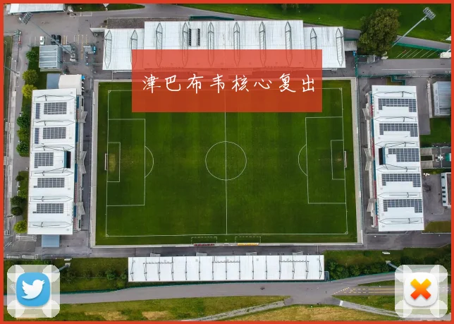 津巴布韦核心复出