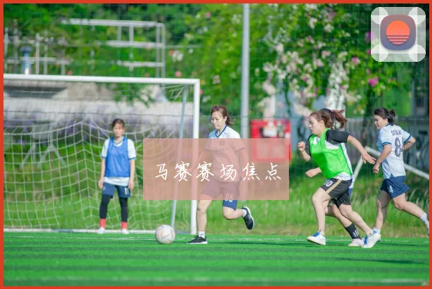 马赛赛场焦点
