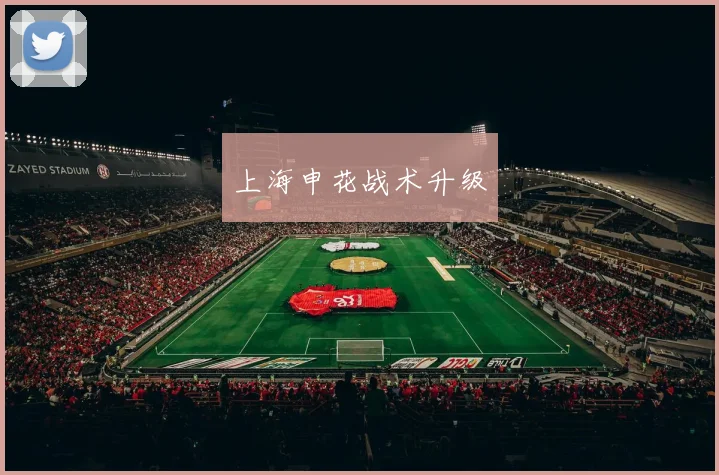 上海申花战术升级