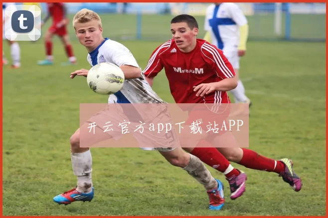 开云官方app下载站APP