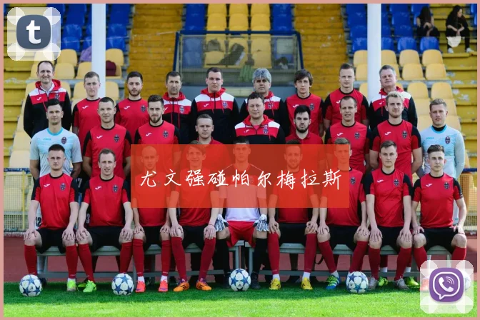 尤文强碰帕尔梅拉斯