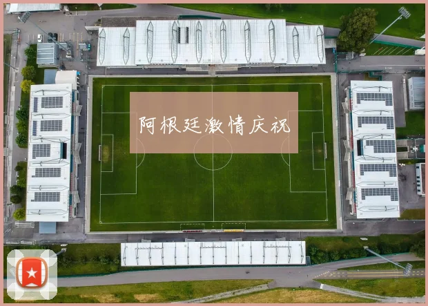 阿根廷激情庆祝