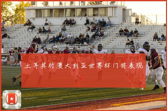 土耳其对澳大利亚世界杯门将表现