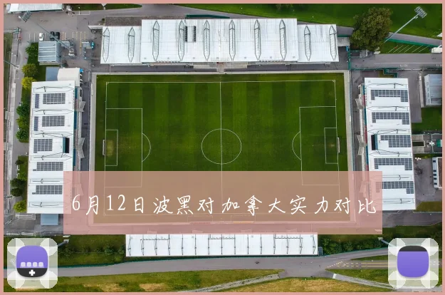 6月12日波黑对加拿大实力对比