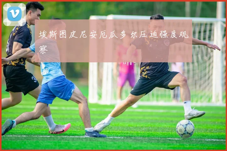 埃斯图皮尼安厄瓜多尔压迫强度观察