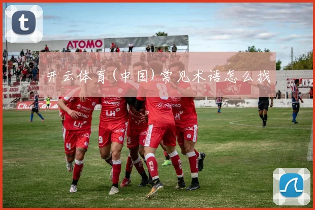 开云体育(中国)常见术语怎么找