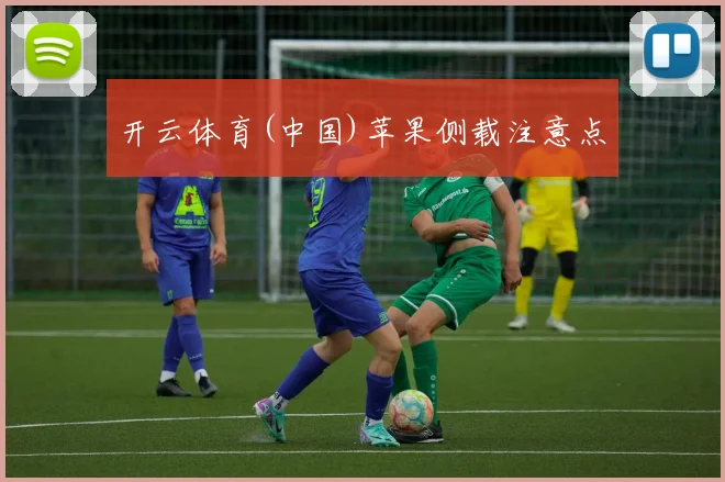 开云体育(中国)苹果侧载注意点